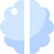 brain_3x.png